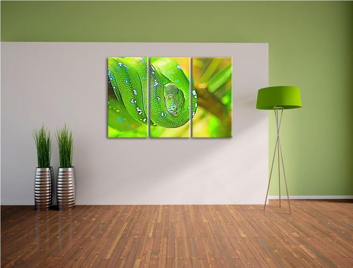 Grüne giftige Baumschlange Spezial 3-Teiler Leinwandbild 120x80 Bild auf Leinwand, XXL riesige Bilde