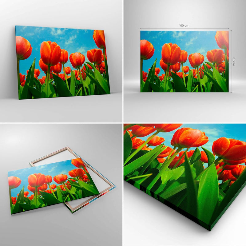 Bilder auf Leinwand 100x70cm Leinwandbild Tulpe Blume blauer Himmel Gross Wanddeko Bild Schlafzimmer