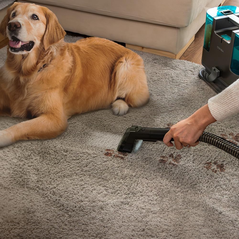 Cecotec Polsterstaubsauger Conga Popstar 3000 CarpetClean, 400 W, 2 Tanks - einen für sauberes Wasse