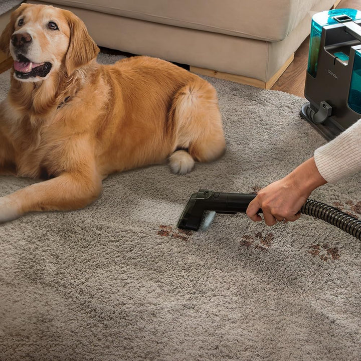 Cecotec Polsterstaubsauger Conga Popstar 3000 CarpetClean, 400 W, 2 Tanks - einen für sauberes Wasse