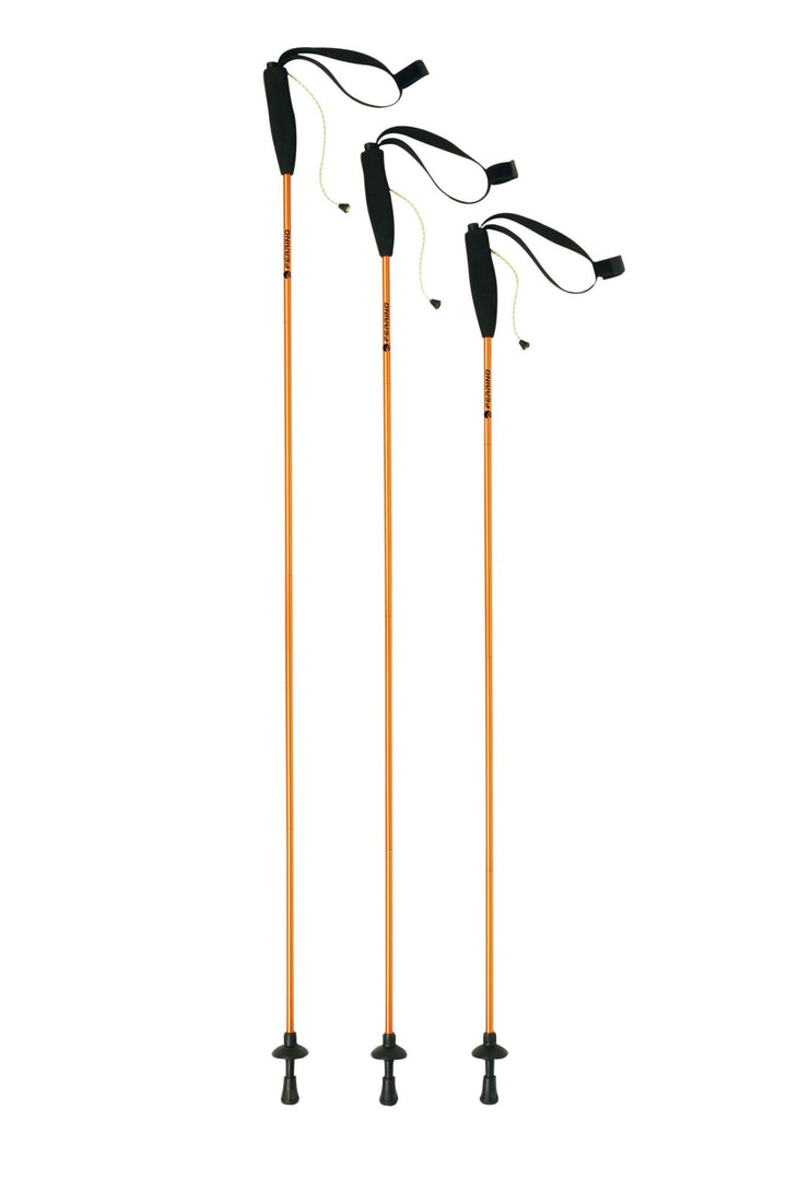 Ferrino Eiger Trekkingstöcke 135 cm Orange, 135 cm Orange