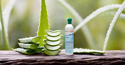 Aspira Home Duftstoff mit Aloe Vera - Duftöl für Wasserstaubsauger/Staubsauger mit Wasserfiter und A