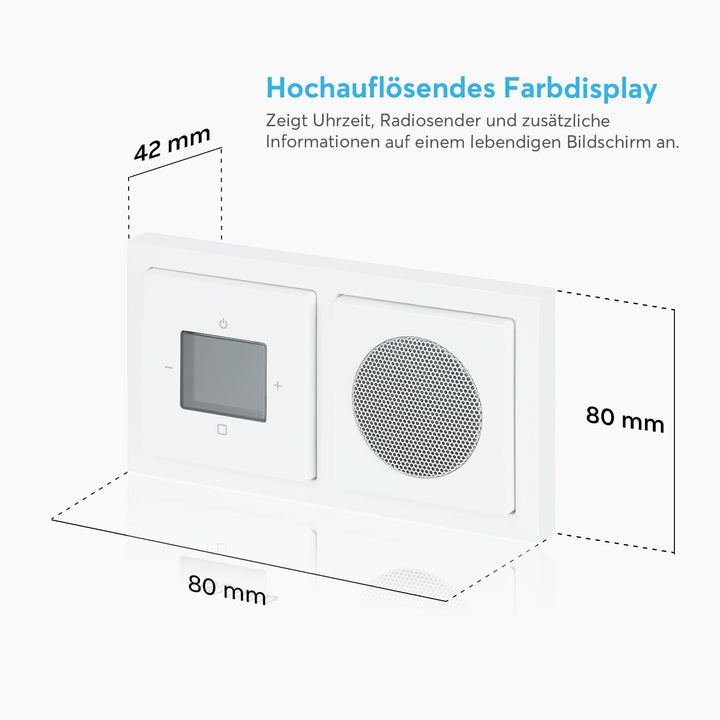 Busch-Jaeger Radio 2CKA008200A0233