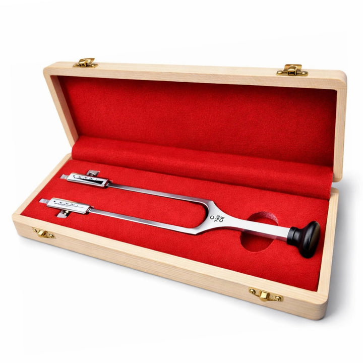 Stimmgabel Rydel-Seiffer mit abnehmbare Dämpfer c128/64 Hz - Made in