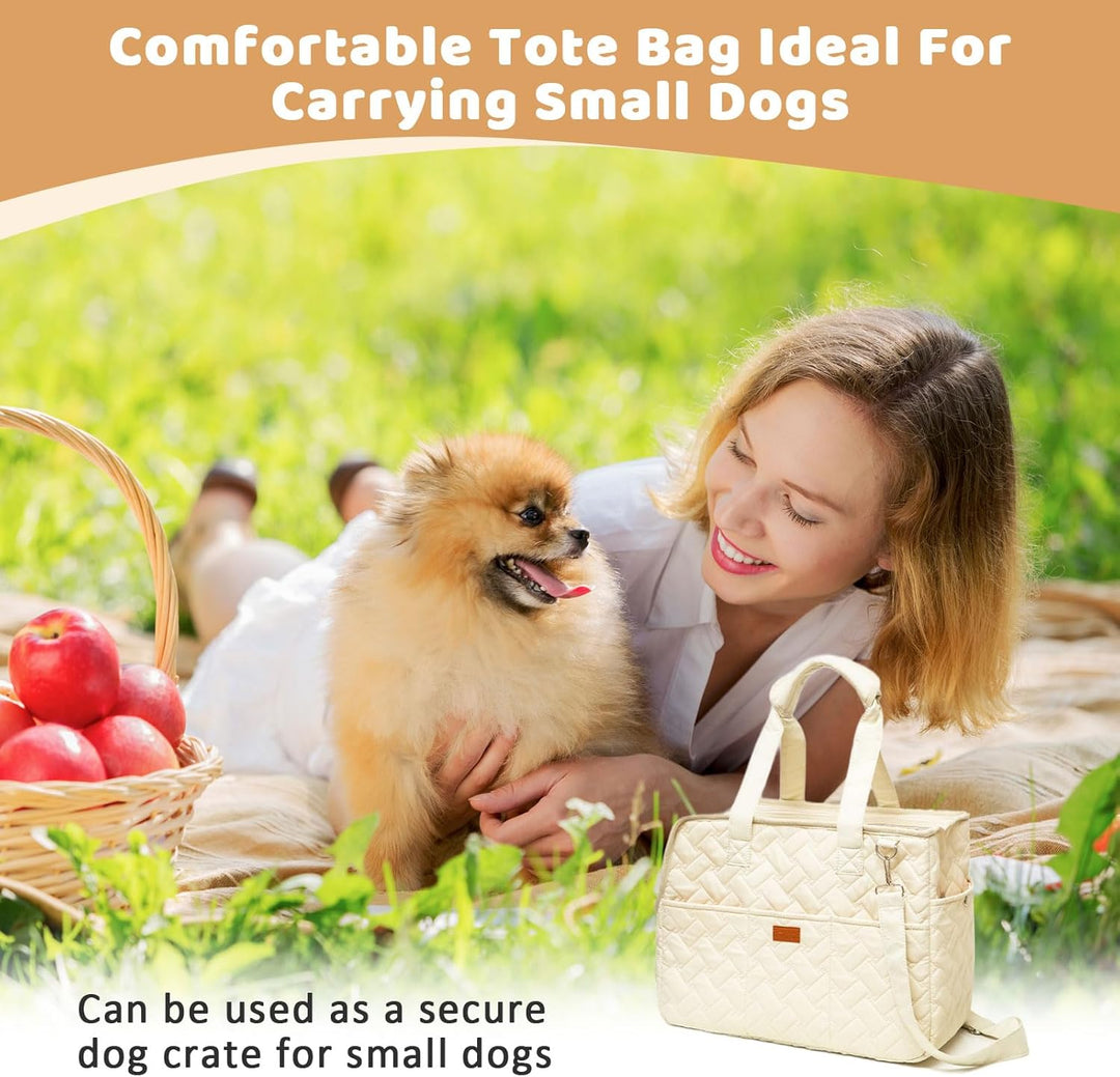 Hundetasche für Kleine Hunde Tragetasche Hund Hundetragetasche bis 5kg Hundetransporttasche 41 x 30