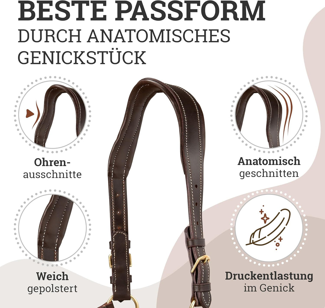 Esposita anatomisches Lederhalfter Deluxe Halfter aus Leder für Pferde Stallhalfter Pferdehalfter -