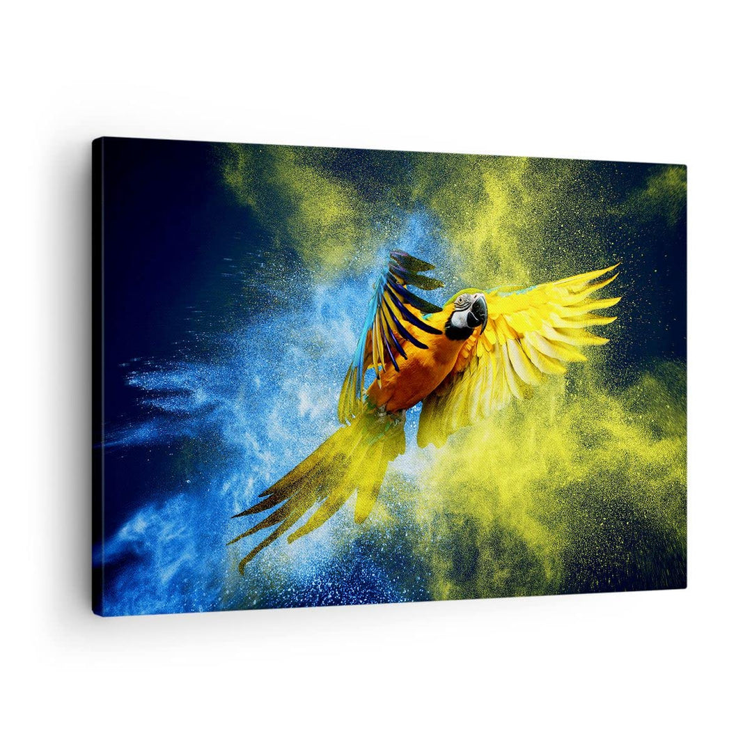 Bilder auf Leinwand Papagei Vogel Feder Leinwandbild mit Rahmen 70x50cm Wandbilder Dekoration Wohnzi