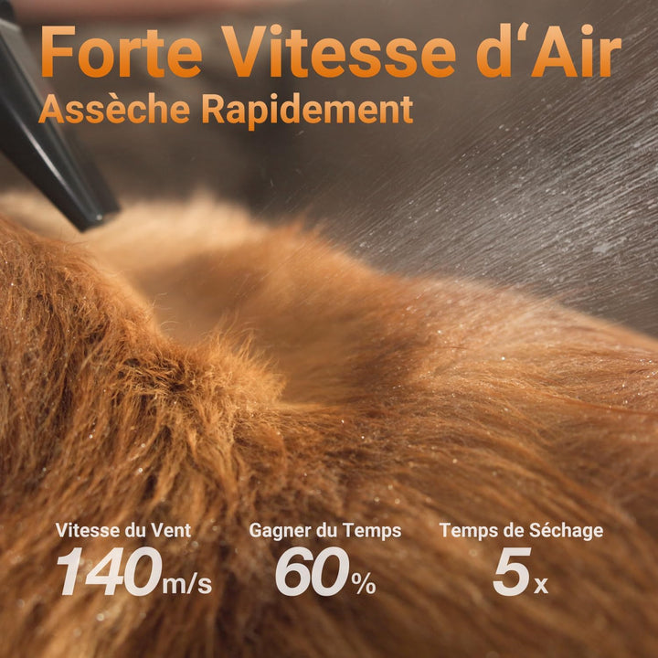 P40 Hundefön Blower, Ultra-Leise (40 dB Katzen-Modus), 3-in-1 Düsen, Einstellbare Geschwindigkeit &