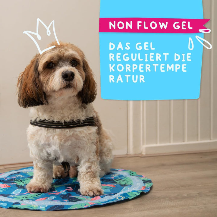 Coolpets Tropical Premium Kühlmatte - Geeignet für Hunde - rutschfest - Kühlung für Ihre Haustiere -