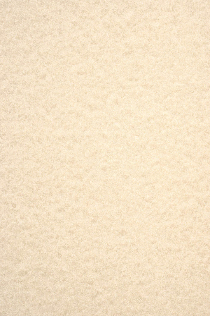 Netuno 100x Marmorkarton Beige DIN A4 29,7 x 21 cm 180g Aster Laguna Light Brown effektvolles Marmor