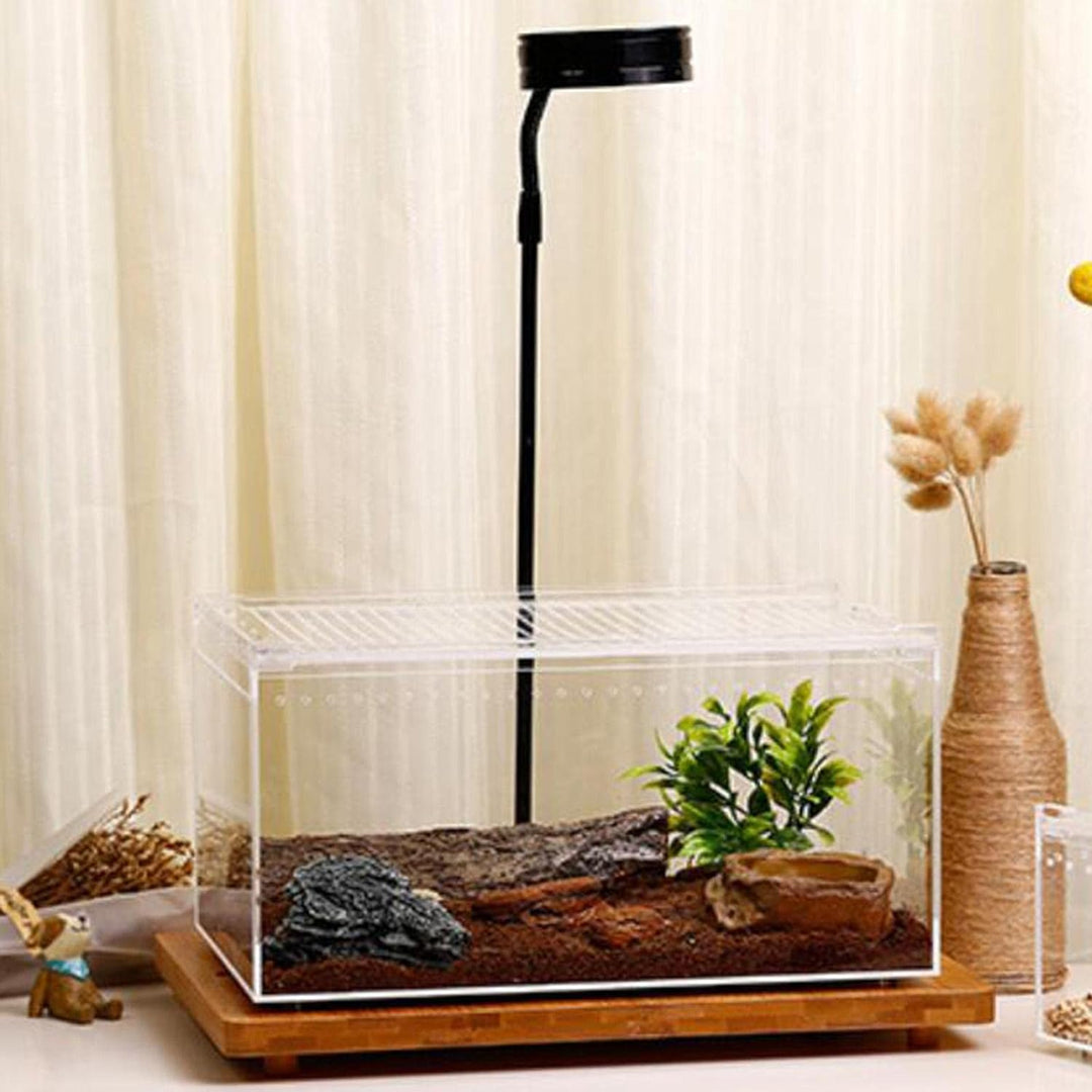 Durchsichtige Reptilienaufzuchtbox, Acryl Reptilienfutterbox, Futterbox Für Insekten Reptilien Vogel