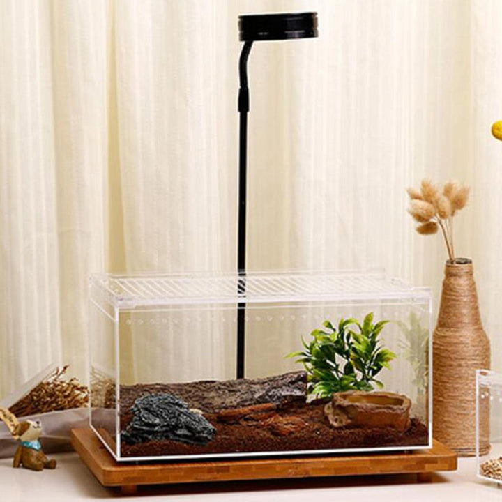 Durchsichtige Reptilienaufzuchtbox, Acryl Reptilienfutterbox, Futterbox Für Insekten Reptilien Vogel