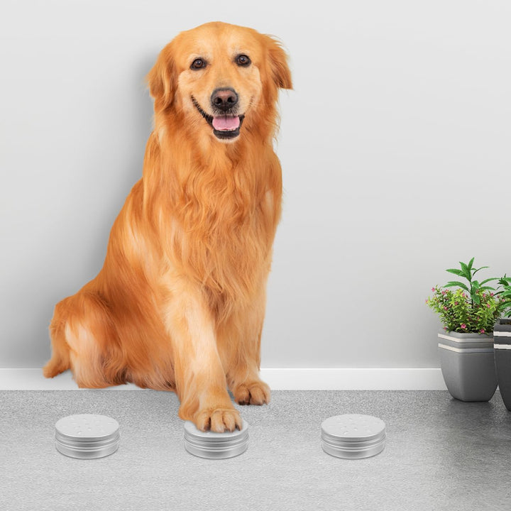 Angoily 10 Stück geruchsdosen für Hunde schnüffeldosen Hundeduft-Trainingsbox Training Hundeduft Nas