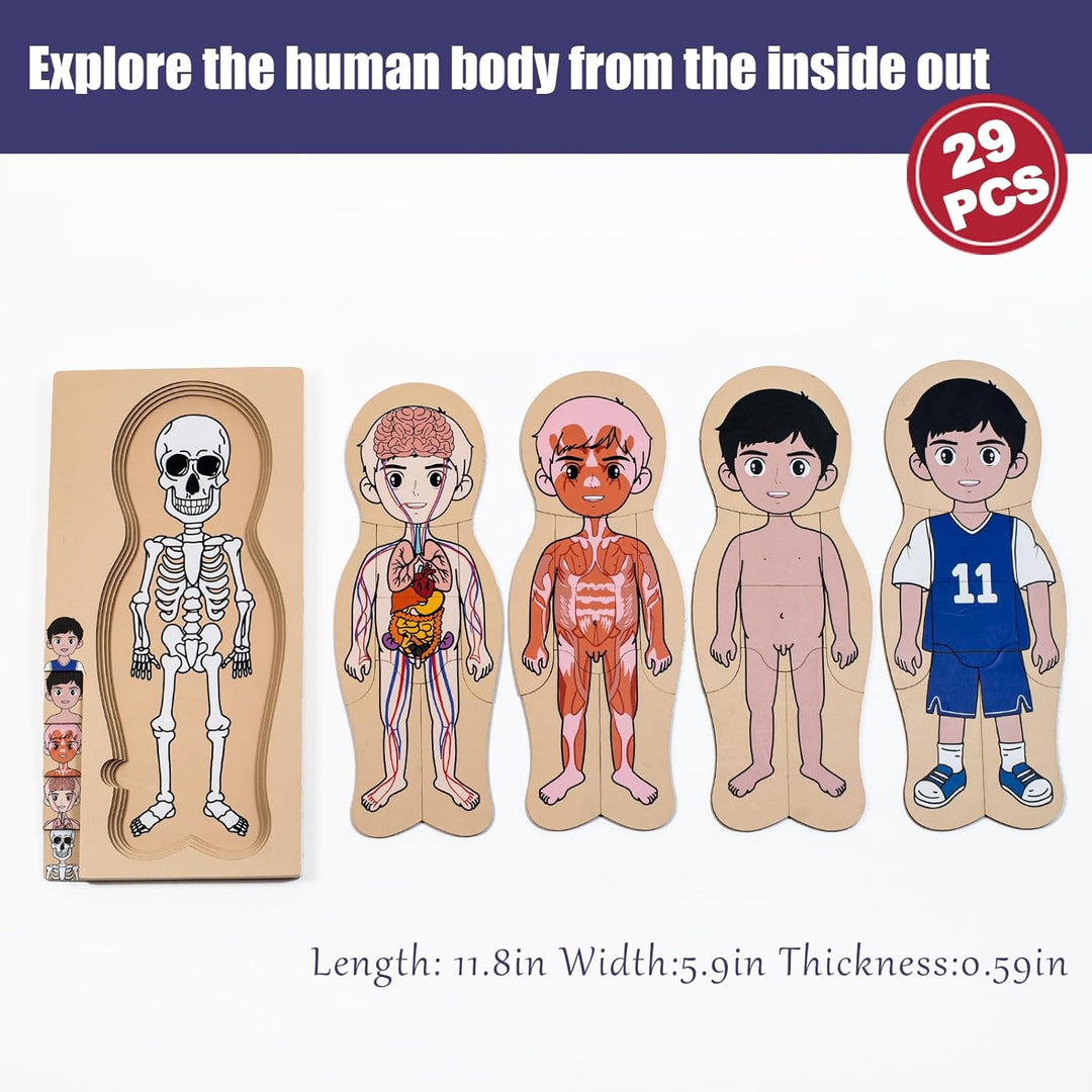 Meine Körperteile Puzzle für Kleinkinder Kinder Mädchen Jungen Montessori Holz Anatomie Puzzle 3-5 J
