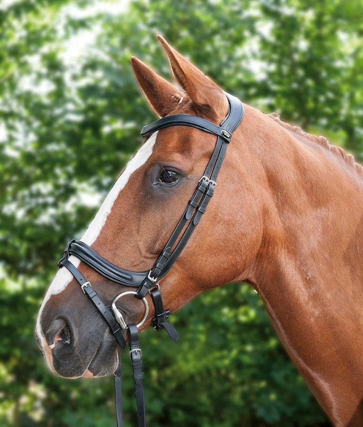 HKM Trensenzaum Anatomic Schwarz Pony, Schwarz Pony
