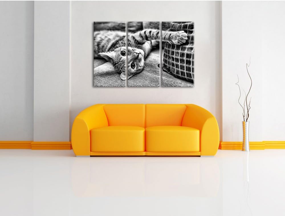 Pixxprint Süsses Kätzchen spielt als Leinwandbild/Grösse: 3 Teilig (120x80) cm/Wandbild/Kunstdruck/f