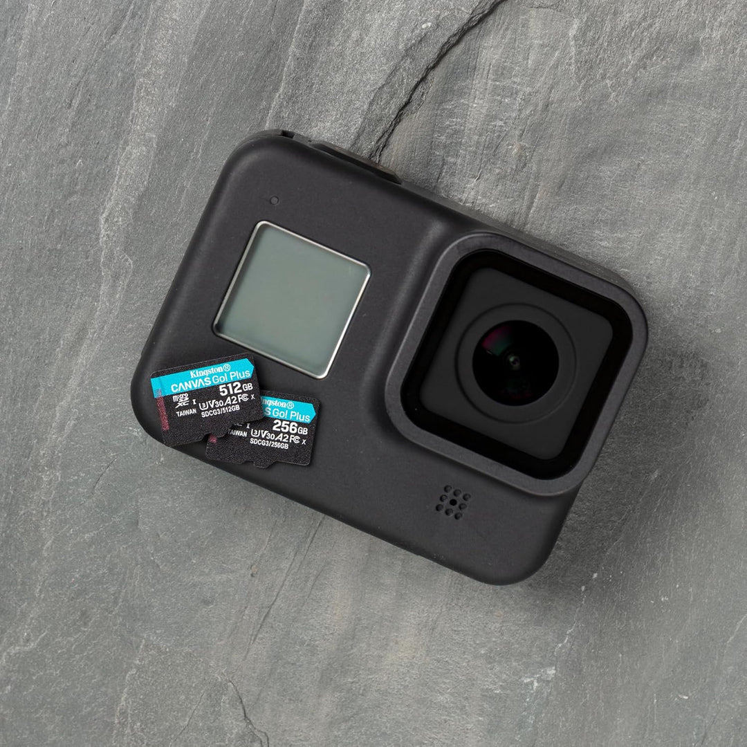 Kingston SDCG3/256GB microSD Speicherkarte ( 256GB microSDXC Canvas Go Plus 170R A2 U3 V30 mit SD Ad