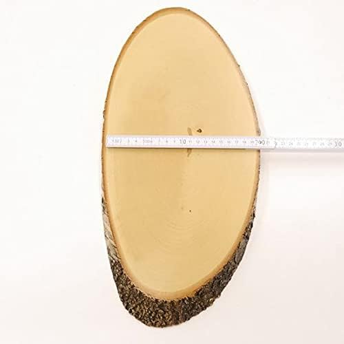 GTK - Geweihe & Trophäen KRUMHOLZ Birke Rothirsch AF 38 cm Hirsch Schild Trophäenschild Geweih Baums