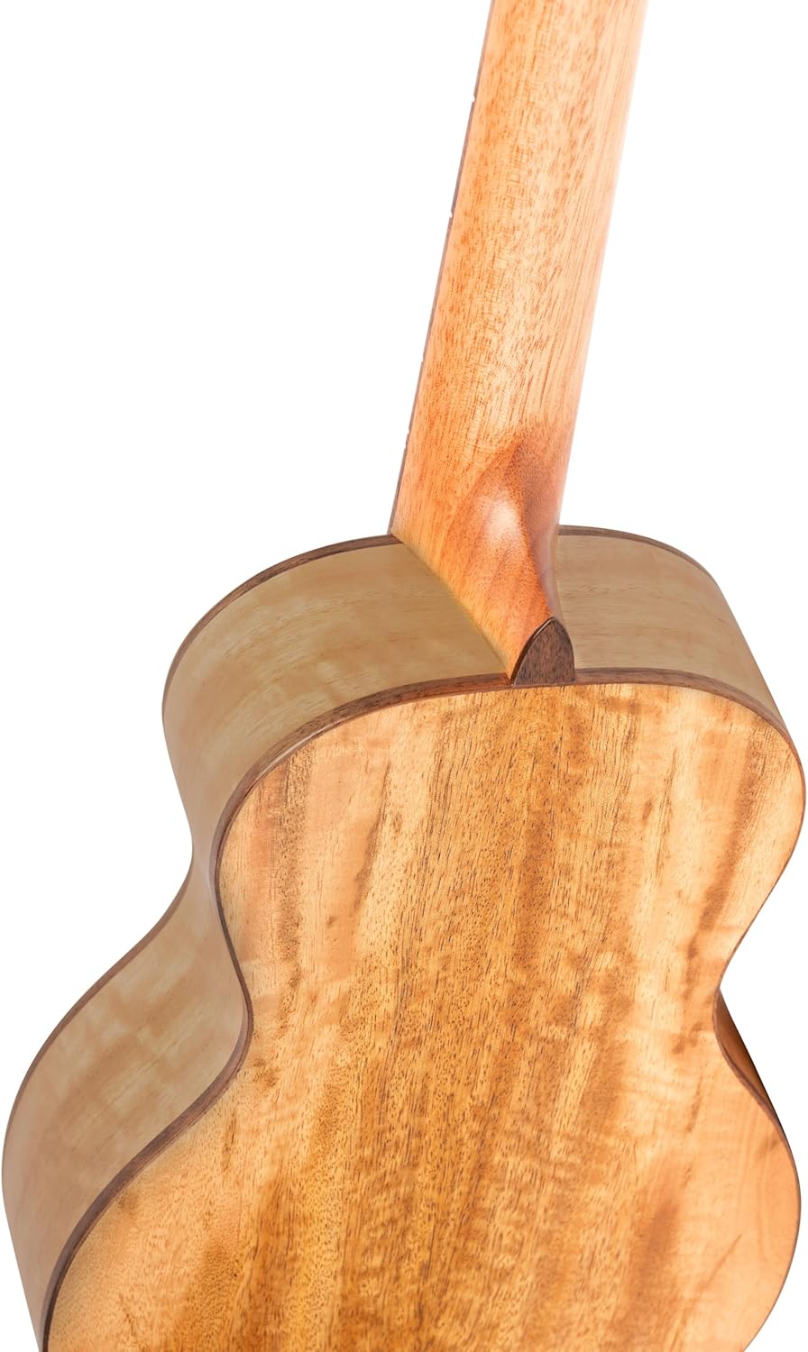 Ortega Guitars Konzert Ukulele akustisch - Linkshänder - Horizon Series (Video) - reversed headstock