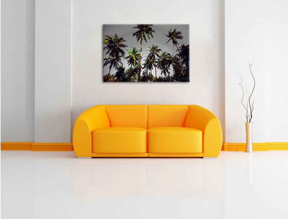 Pixxprint Tropische Palmen als Leinwandbild | Grösse: 100x70 cm | Wandbild | Kunstdruck | fertig bes