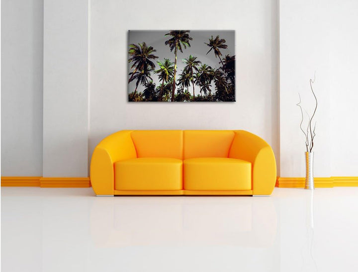 Pixxprint Tropische Palmen als Leinwandbild | Grösse: 100x70 cm | Wandbild | Kunstdruck | fertig bes