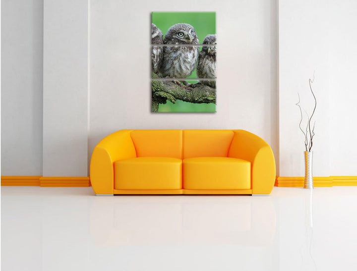 Pixxprint DREI Eulen auf AST als Leinwandbild/Grösse: 3 Teilig (120x80) cm/Wandbild/Kunstdruck/ferti