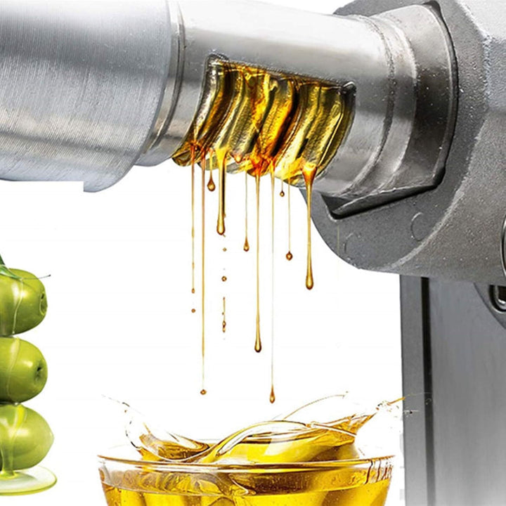 Ölpresse, Elektrische Ölpresse aus Edelstahl, Automatische Ölpresse, 600W, geeignet für die meisten
