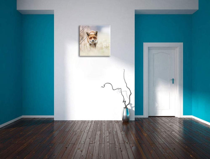 Schleichender fuchs, Format: 70x70 auf Leinwand, XXL riesige Bilder fertig gerahmt mit Keilrahmen, K