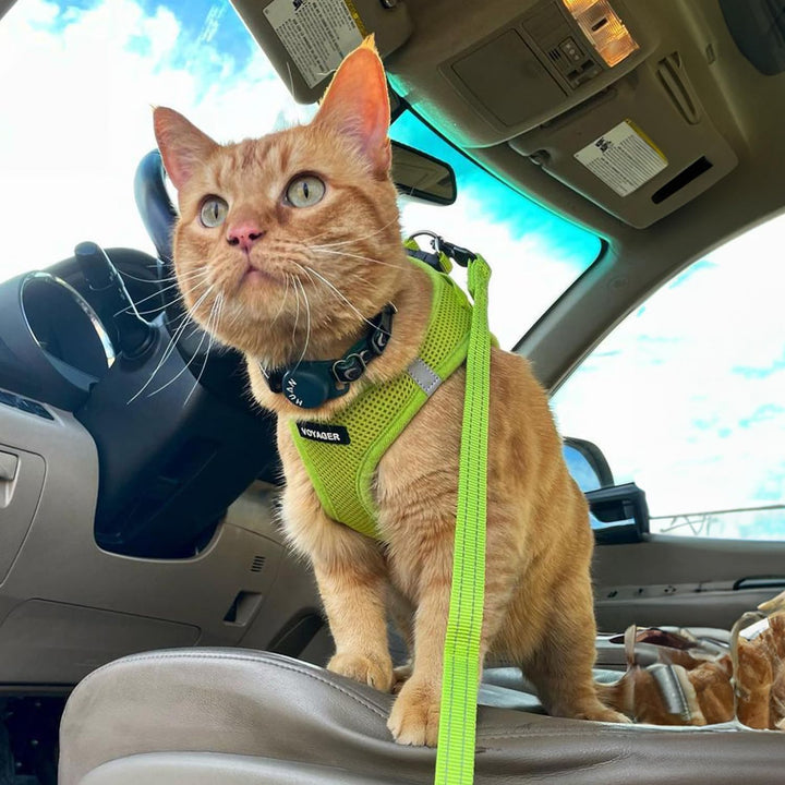 Voyager Step-In Air Hundegeschirr by Best Pet Supplies - All Weather Mesh Step in Vest Harness für k
