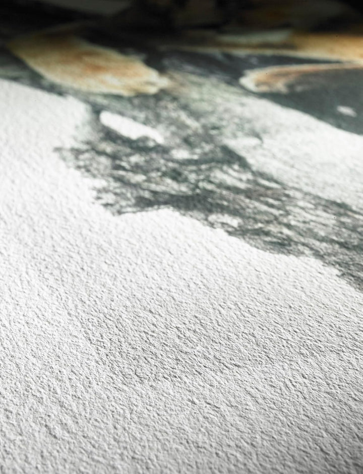 Hahnemühle 10641643 Digital FineArt German Etching Papier, 310 g/m², DIN A4, 210 x 297 mm, weiss, 21