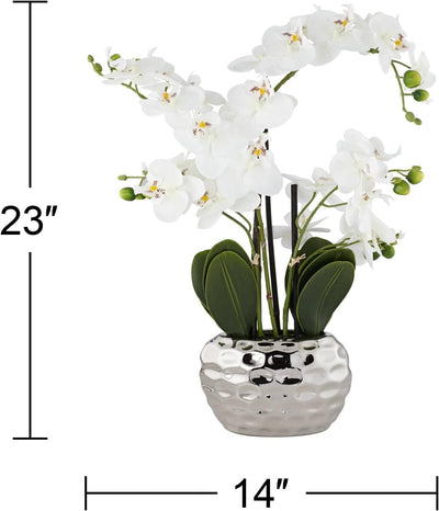 Dahlia Studios Kunstpflanze Orchidee Phalaenopsis mit silber-farbigem Keramiktopf - ca. 53cm hoch (w