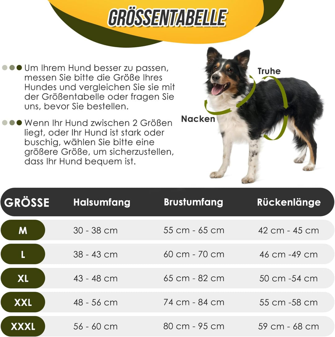 Eyein Hundemantel Winter für Kleine Hunde, Wasserdicht Hundejacke mit warmem Fleecefutter und Halsba