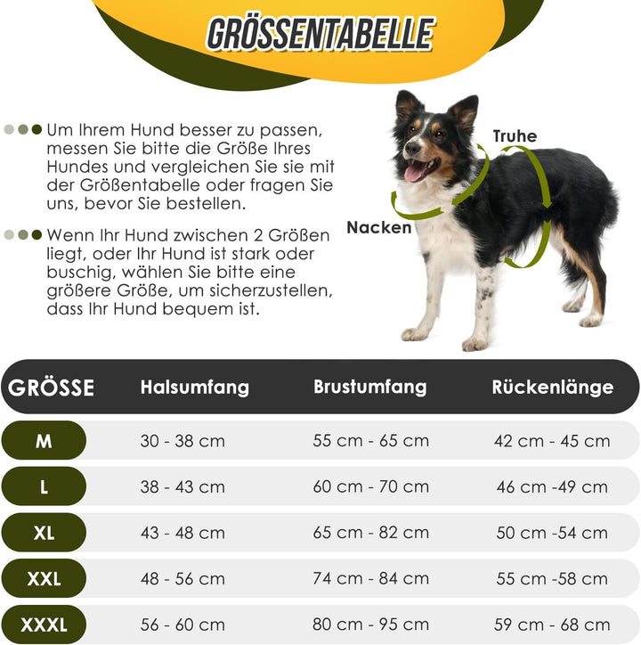 Eyein Hundemantel Winter für Kleine Hunde, Wasserdicht Hundejacke mit warmem Fleecefutter und Halsba