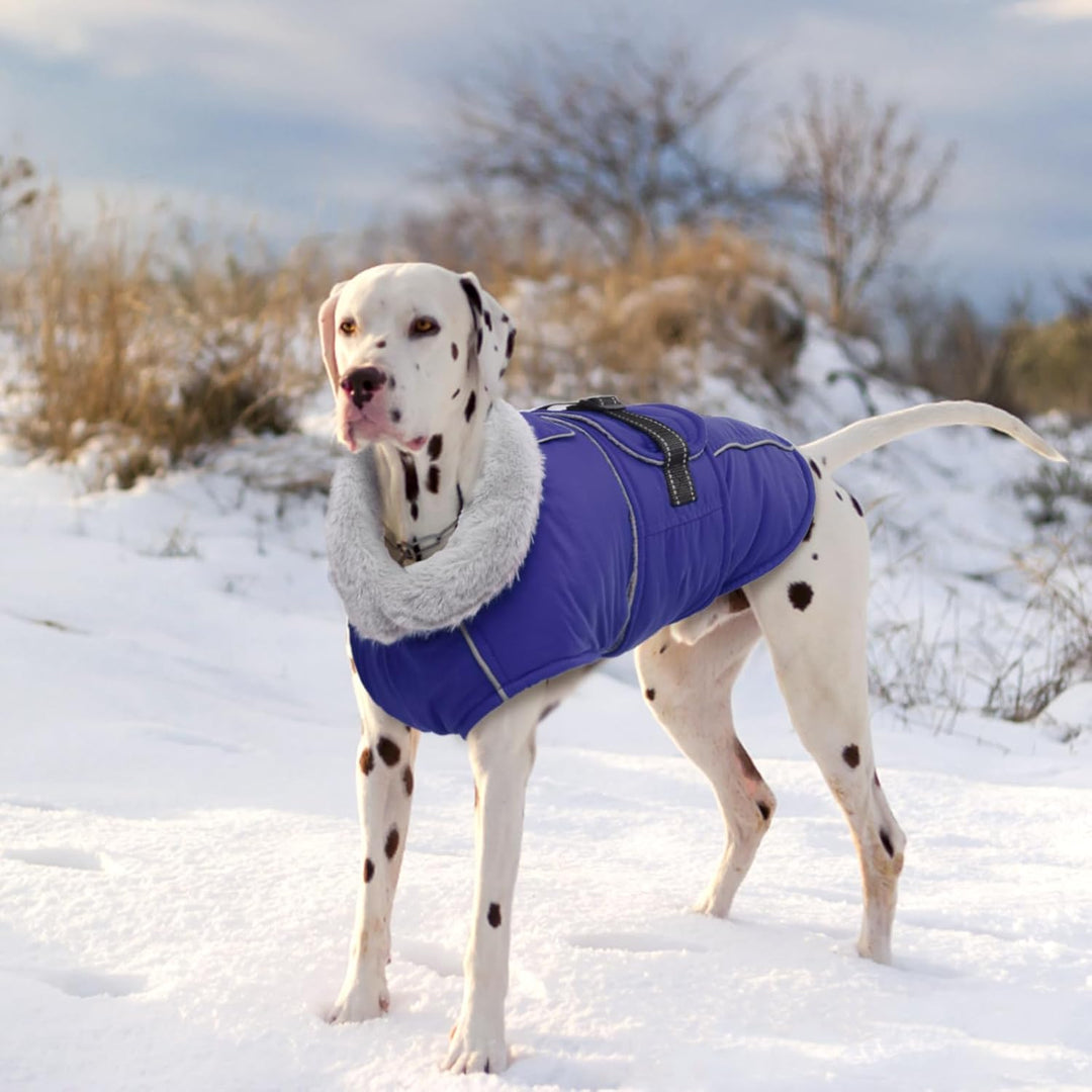 Lelepet Hundejacke Winter Warmer Hundemantel, Wasserdichter Wintermantel Fleece Hundeweste für Mitte