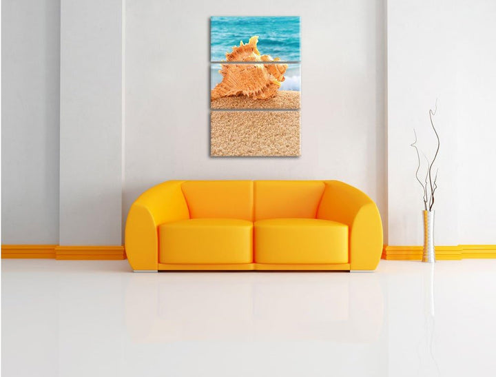 Pixxprint Muschel am Strand 3-Teiler Leinwandbild 120x80 Bild auf Leinwand