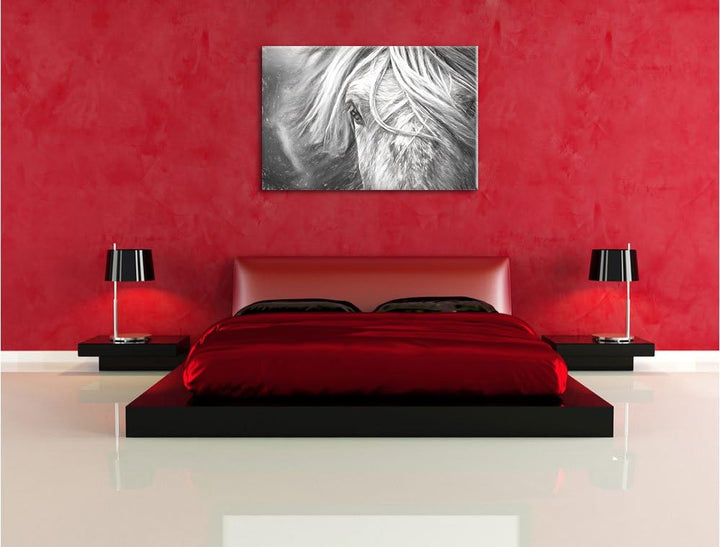 Pixxprint Islandpony in den Westfjorden als Leinwandbild/Grösse: 100x70 / Wandbild/Kunstdruck/fertig