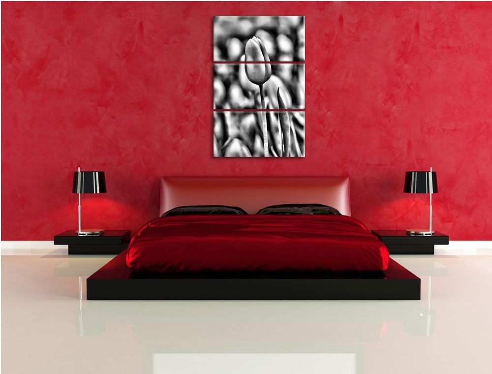 Pixxprint Gelbe Tulpen im Frühling als Leinwandbild/Grösse: 3 Teilig (120x80) cm/Wandbild/Kunstdruck