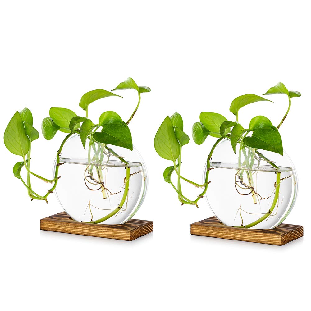 Tischplatte hängen Glas Pflanzer Pcs von 2 Vermehrungsstation Moderne Blumenknospe Vase in Holz Steh