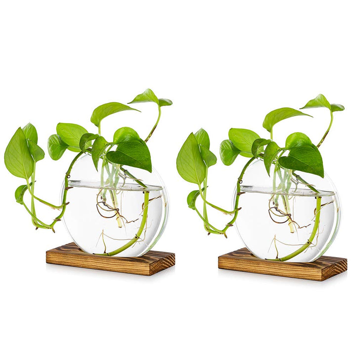 Tischplatte hängen Glas Pflanzer Pcs von 2 Vermehrungsstation Moderne Blumenknospe Vase in Holz Steh