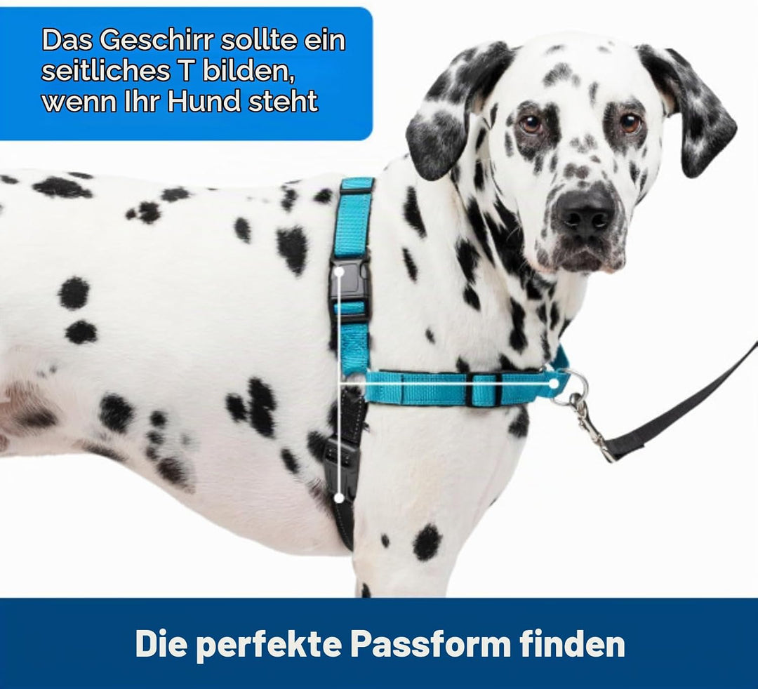 PetSafe Easy Walk Deluxe Geschirr, Gehgeschirr ohne Zug für Hunde, gepolstertes Design, inkl. 1,8 m