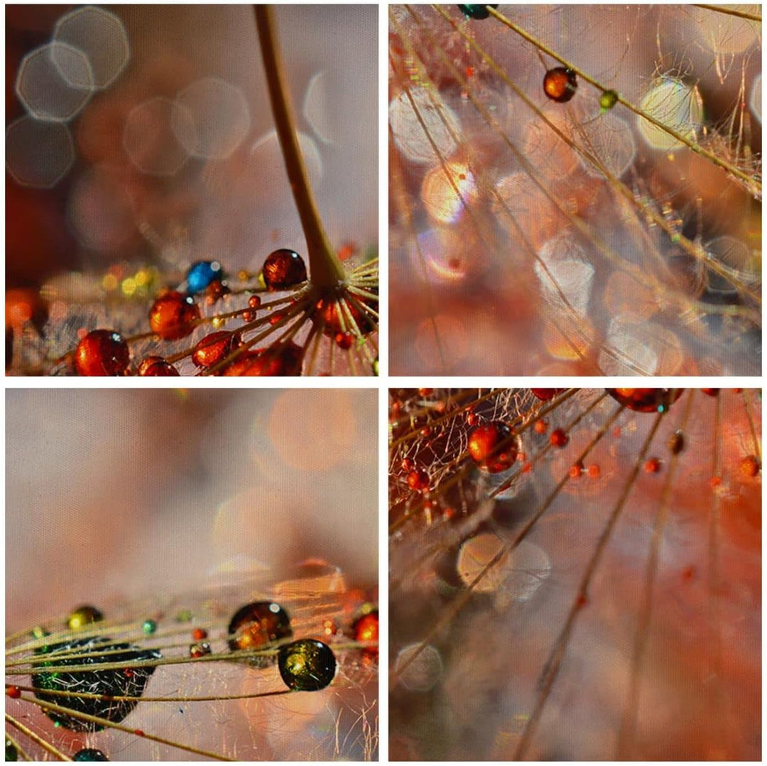 Bilder auf Leinwand Spinnennetz modern Leinwandbild mit Rahmen 70x50cm Wandbilder Dekoration Wohnzim