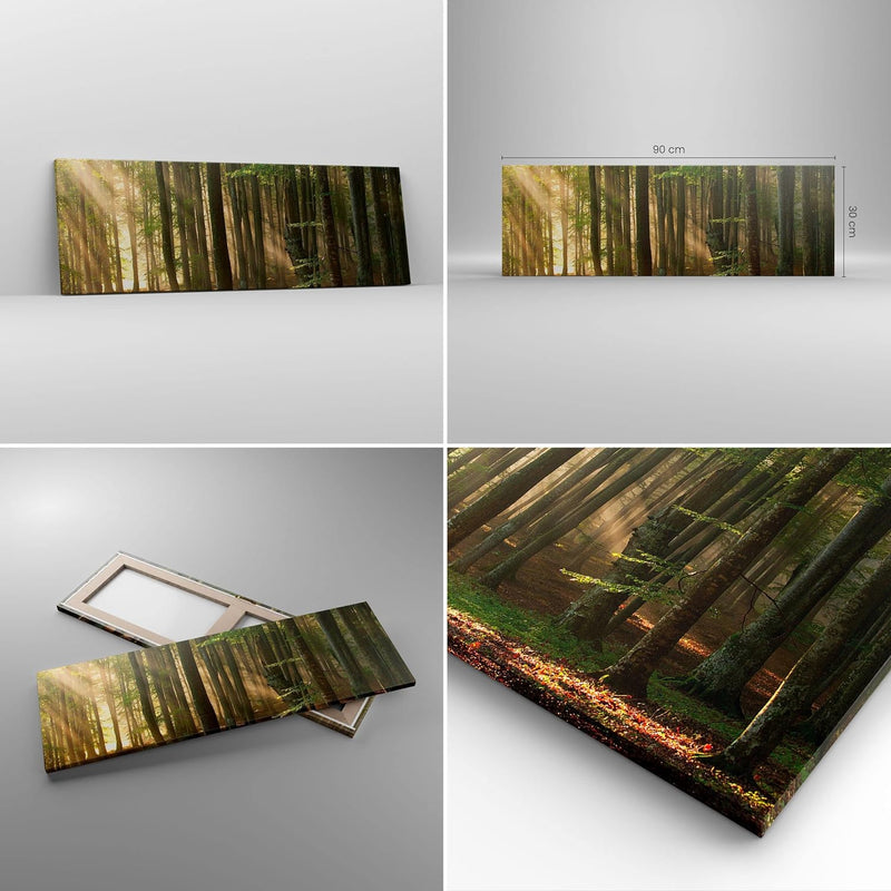 Panorama Bilder auf Leinwand Wald Baum Natur Leinwandbild mit Rahmen 90x30cm Wandbilder Dekoration W