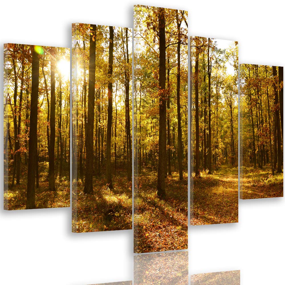 Feeby Leinwandbild 5 Teilig Landschaft Bild Wanddeko Blätter Wald Bäume orange 200x100 cm Leinwandbi