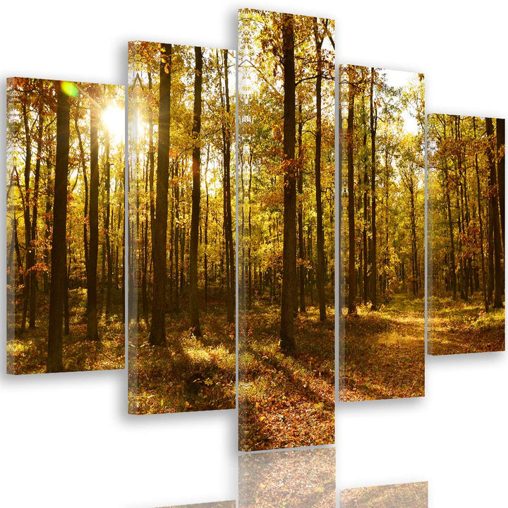 Feeby Leinwandbild 5 Teilig Landschaft Bild Wanddeko Blätter Wald Bäume orange 200x100 cm Leinwandbi