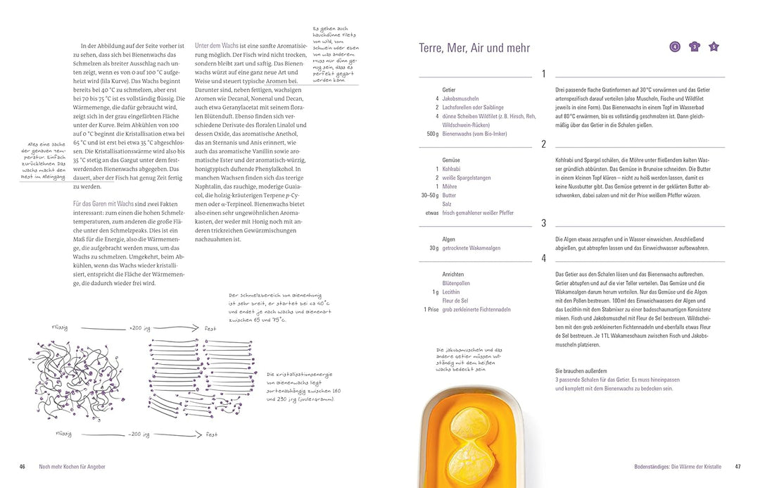 Noch mehr kochen für Angeber - Kochbuch von Stiftung Warentest - mit 50 neuen kulinarischen Effekten