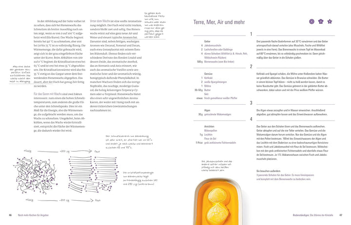Noch mehr kochen für Angeber - Kochbuch von Stiftung Warentest - mit 50 neuen kulinarischen Effekten