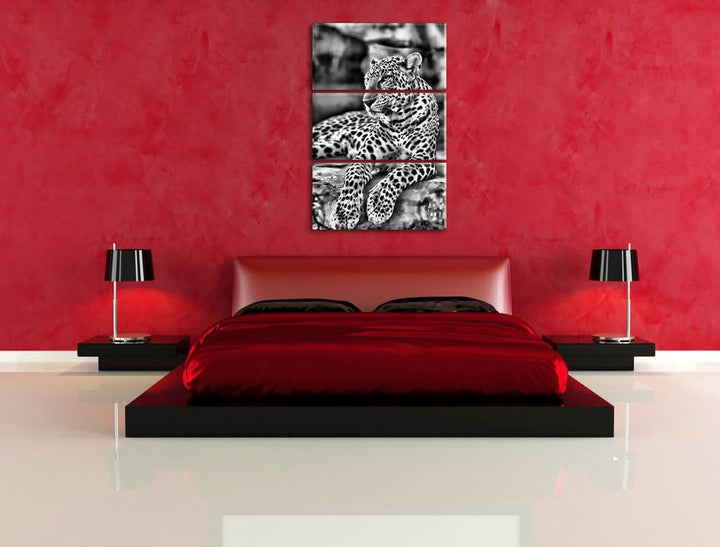 Pixxprint Majestätischer Leopard als Leinwandbild/Grösse: 3 Teilig (120x80) cm/Wandbild/Kunstdruck/f