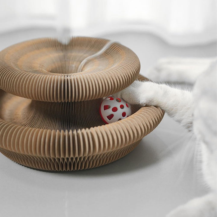 Kratzkokon für Katzen, 2-in-1 Katzenspielzeug Selbstbeschäftigung und Kitten Spielzeug mit Glocke, M