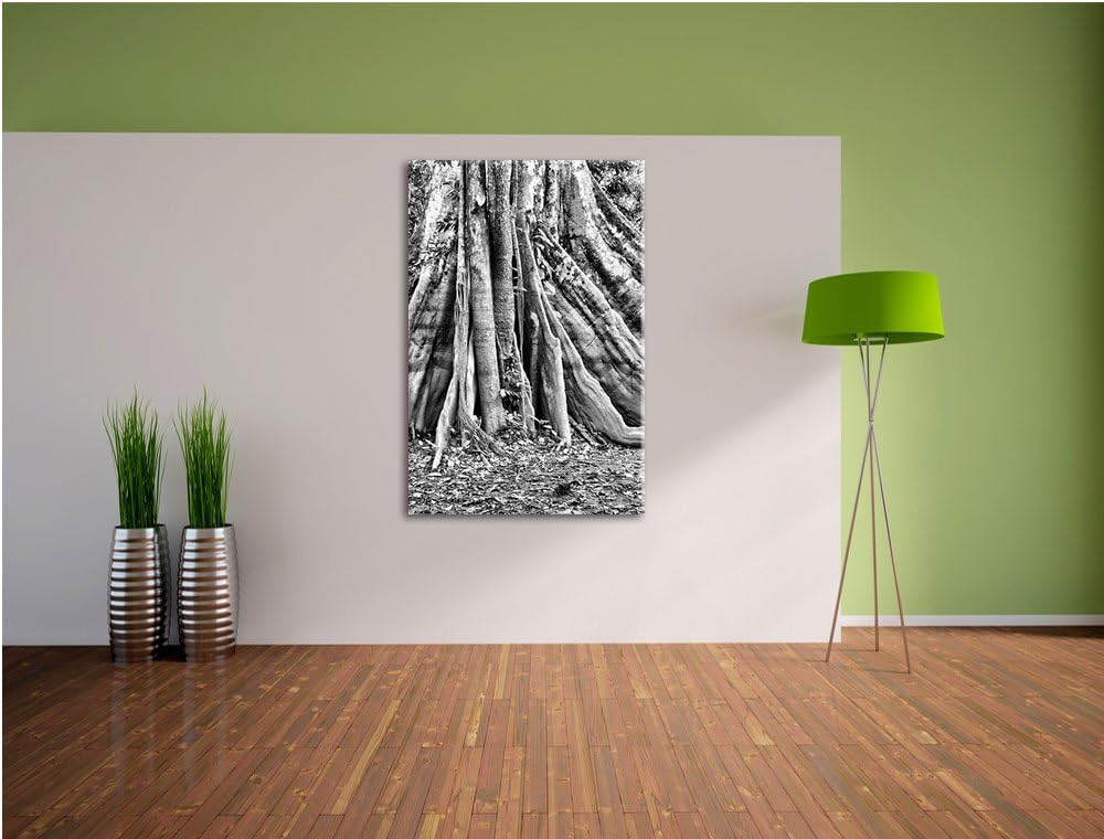 Pixxprint Mächtiger Urwald Baum / 100x70cm Leinwandbild bespannt auf Holzrahmen/Wandbild Kunstdruck