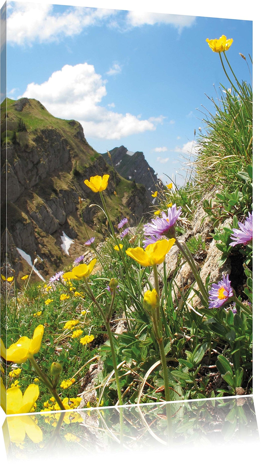 Blumenwiese im Frühling, Format: 100x70 auf Leinwand, XXL riesige Bilder fertig gerahmt mit Keilrahm